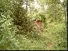 2003_0308_081909AA.jpg